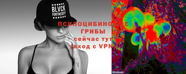 ПСИЛОЦИБИНОВЫЕ ГРИБЫ Киренск