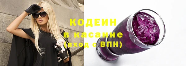 гашик Козловка