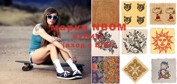 гашик Козловка
