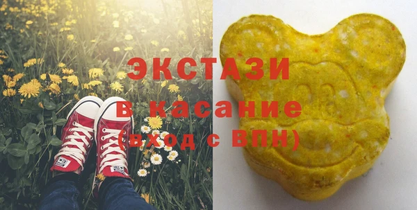 гашик Козловка
