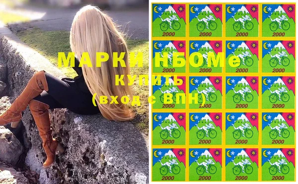 дмт Кодинск